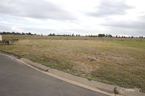 14 Schonbien Ct, Junction Hill, NSW 2460