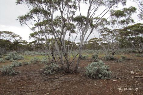 Property photo of 54 Bower Boundary Road Bower SA 5374