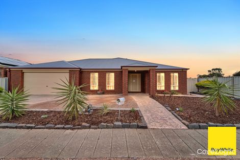 Property photo of 20 Glencoe Avenue Truganina VIC 3029