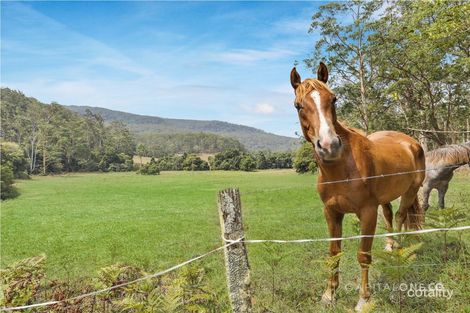 242 Wilkinson Rd, Martinsville, NSW 2265