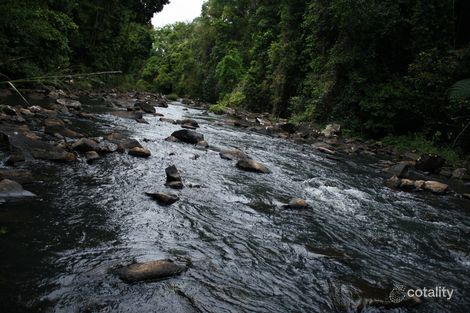 Property photo of 32 Figtree Close Malanda QLD 4885