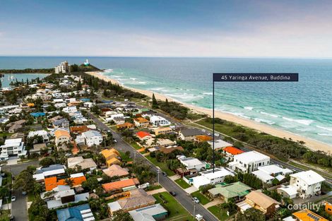 Property photo of 45 Yaringa Avenue Buddina QLD 4575