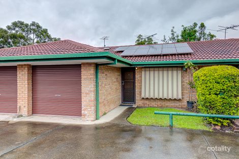 Property photo of 6/11 Cleopatra Street Kingston QLD 4114