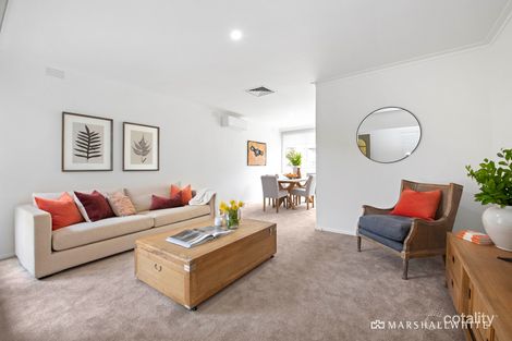 Property photo of 3/2-6 Fraser Street Malvern VIC 3144