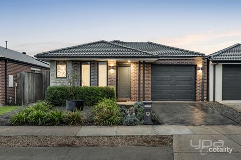 14 Straw Flower Cct, Greenvale, VIC 3059