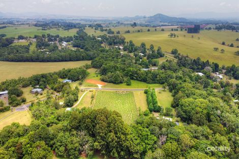 43 Ginn Rd, Malanda, QLD 4885