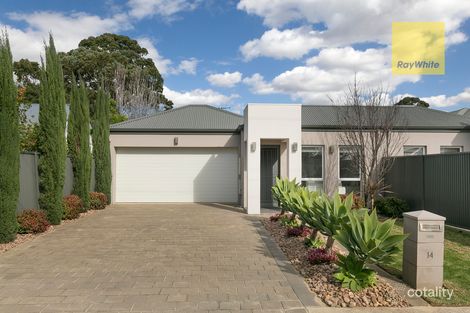 14 Stanley St, Glengowrie, SA 5044