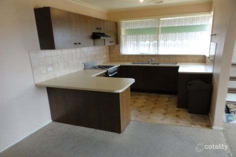 Property photo of 38 Colac Grove Belmont VIC 3216