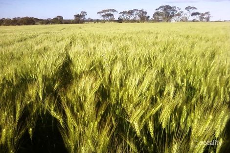 1030 Behanging Rd, Bolgart, WA 6568