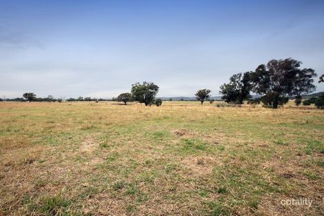 Property photo of 253 Rowan Road Rowan NSW 2650