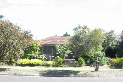 19 Witternberg Ave, Frankston, VIC 3199