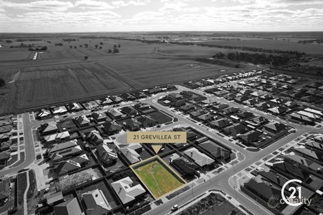 Property photo of 21 Grevillea Street Echuca VIC 3564
