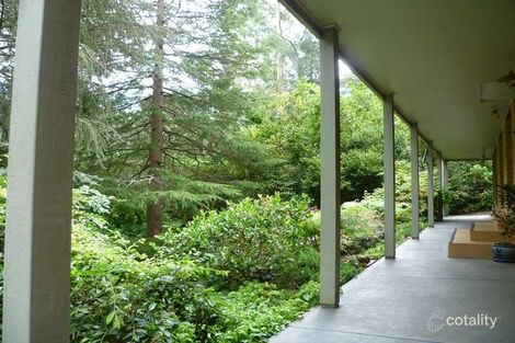 Property photo of 85 Riverside Drive Warburton VIC 3799