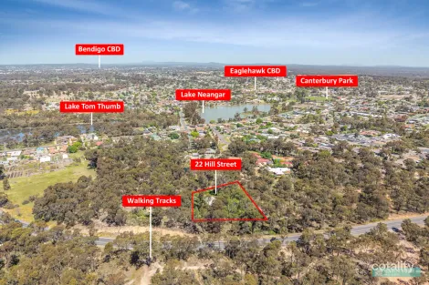 Property photo of 22 Hill Street Eaglehawk VIC 3556