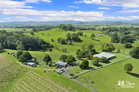 Property photo of 1283 Urliup Road Urliup NSW 2484