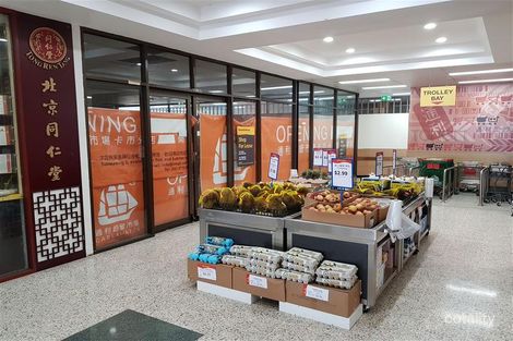 193 Railway Pde, Cabramatta, NSW 2166