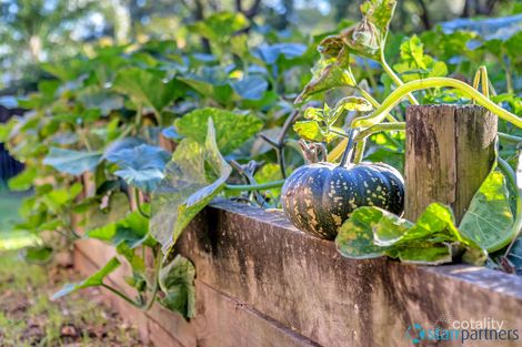 Property photo of 65A Macquarie Road Wilberforce NSW 2756