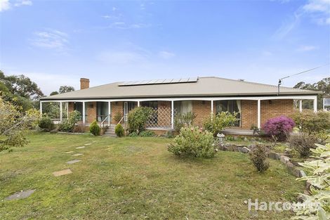 Property photo of 35 Walpole Street Orford TAS 7190