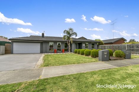 Property photo of 36 Swallow Grove Traralgon VIC 3844