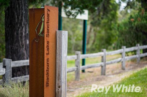 Property photo of 24 Rosalind Crescent Blackburn VIC 3130