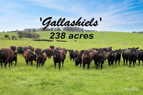 230 Buffalo-Stony Creek Rd, Buffalo, VIC 3958