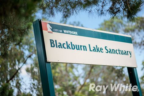 Property photo of 24 Rosalind Crescent Blackburn VIC 3130