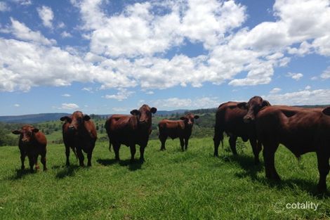 218 Ghinni Ghi Rd, Iron Pot Creek, NSW 2474