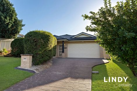 24 Willcox Ave, Singleton Heights, NSW 2330