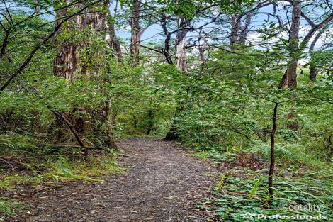 Property photo of 16 Joy Avenue Mount Evelyn VIC 3796