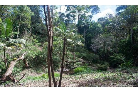 2289 Springbrook Rd, Springbrook, QLD 4213