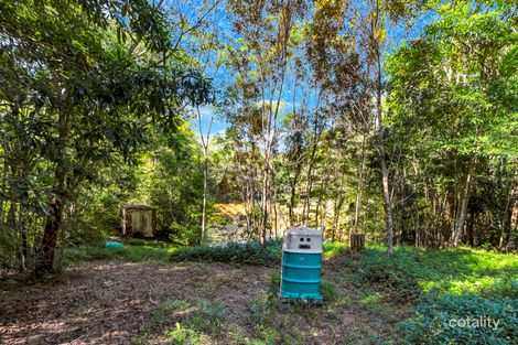 Property photo of 20 Warril Drive Kuranda QLD 4881