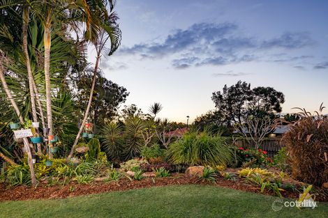Property photo of 53 Laricina Circuit Forest Lake QLD 4078