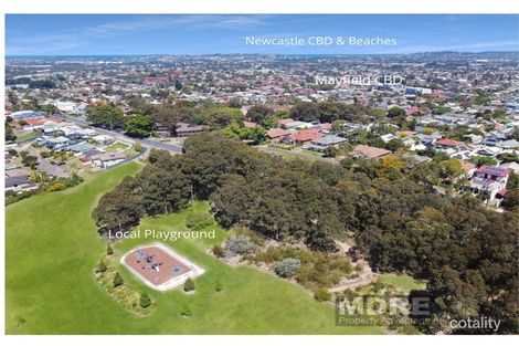 Property photo of 1 Shelley Close Mayfield NSW 2304