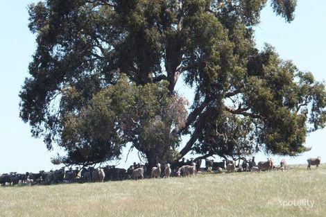 40 O'Neill Rd, Highbury, WA 6313