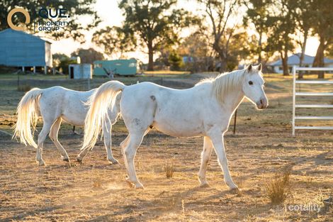 Property photo of 624 Dights Forest Road Table Top NSW 2640