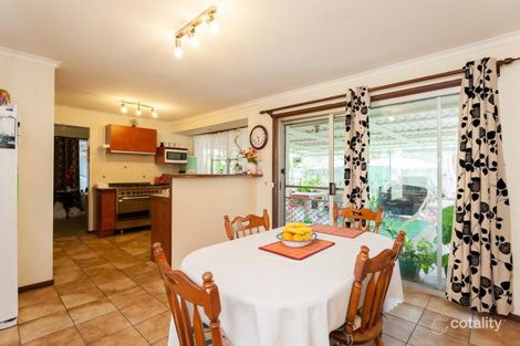 Property photo of 7 Satinay Street Mountain Creek QLD 4557