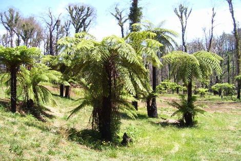 129 Falls Rd, Marysville, VIC 3779