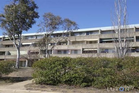 Property photo of 24/4 Wilkins Street Mawson ACT 2607
