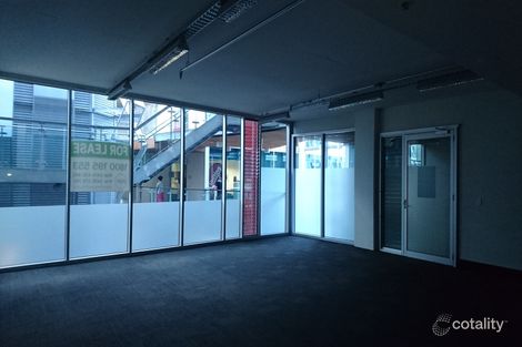 117/117 Old Pittwater Rd, Brookvale, NSW 2100