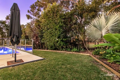 Property photo of 26 Everstar Street Reedy Creek QLD 4227