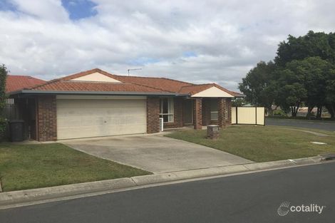 Property photo of 1 Lewis Place Calamvale QLD 4116