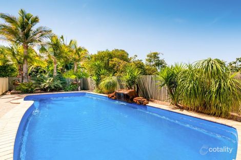 Property photo of 6 Petigrain Avenue Palmwoods QLD 4555