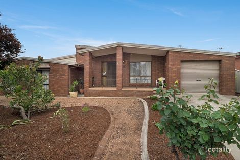 Property photo of 6 Miller Court Eaglehawk VIC 3556