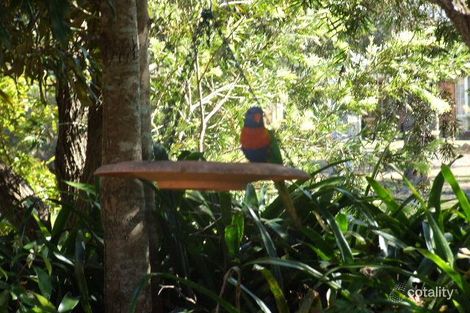 Property photo of 4 Forest Grove Taree NSW 2430