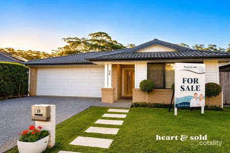 Property photo of 20 Egret Place Bli Bli QLD 4560