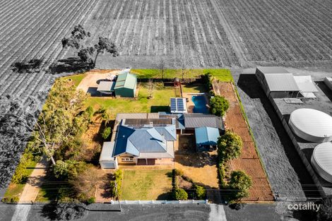 Property photo of 152 Light Pass Road Stockwell SA 5355
