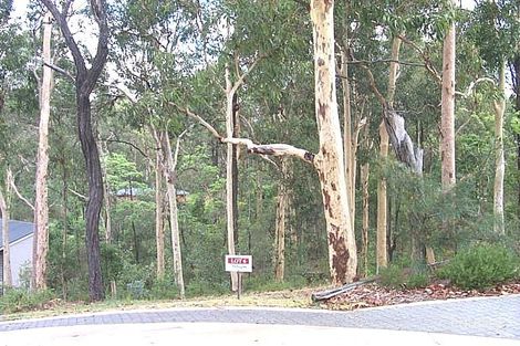 500a Fig Tree Pocket Rd, Fig Tree Pocket, QLD 4069