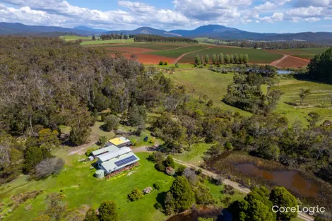 Property photo of 338 Gillespies Road Nabowla TAS 7260