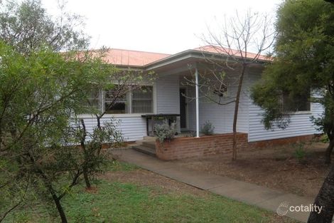 Property photo of 60 Martyn Street Ashford NSW 2361