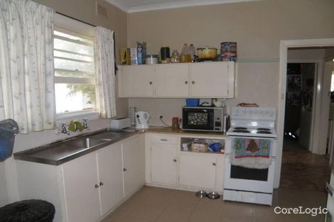 Property photo of 60 Martyn Street Ashford NSW 2361